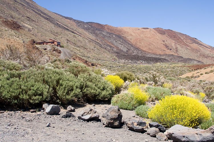 Beim Parador (Teneriffa - Canadas del Teide)