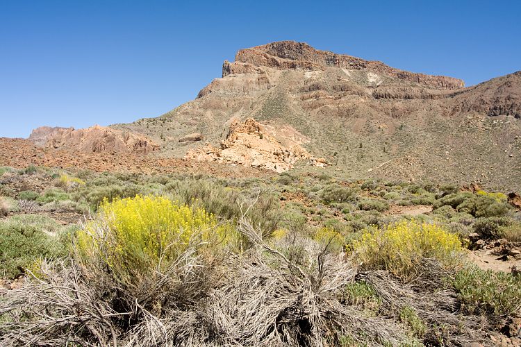 Beim Parador (Teneriffa - Canadas del Teide)