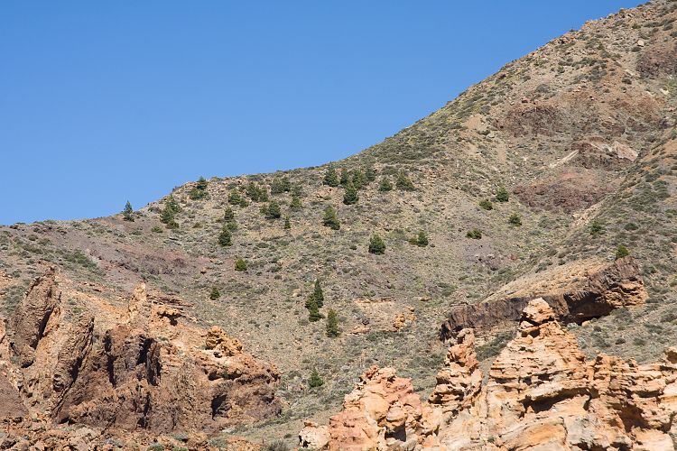 Beim Parador (Teneriffa - Canadas del Teide)