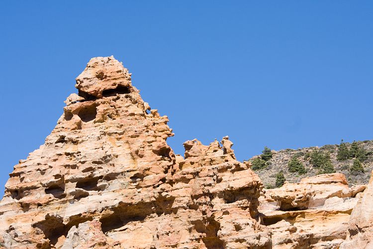 Beim Parador (Teneriffa - Canadas del Teide)