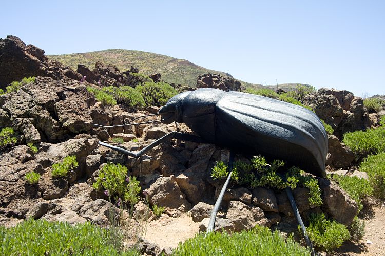 Botanischer Garten (Teneriffa - Canadas del Teide)