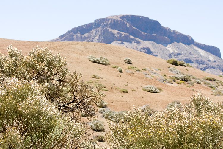 Canadas del Teide (Teneriffa - Canadas del Teide)