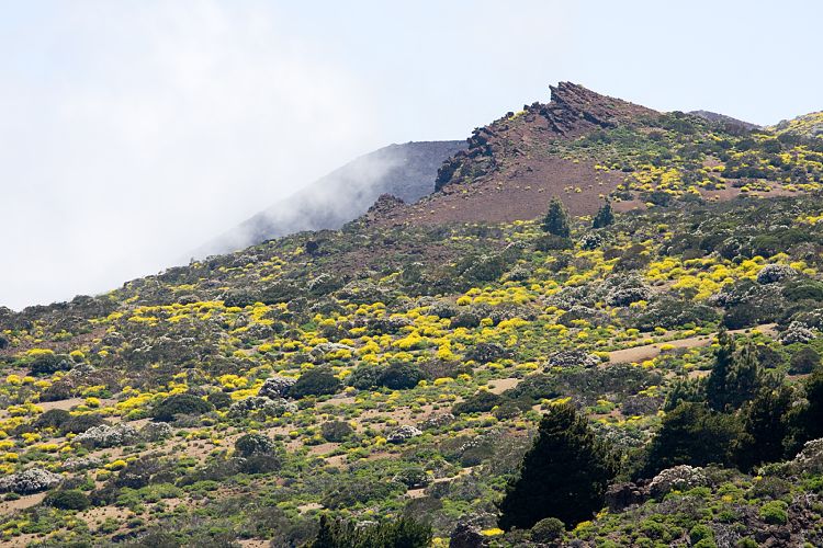 Canadas del Teide (Teneriffa - Fortaleza)