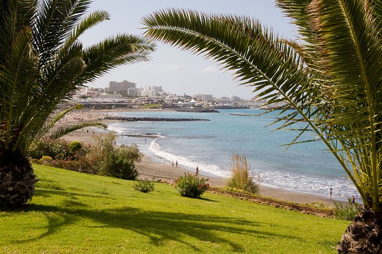 Costa Adeje (Teneriffa - Costa Adeje)