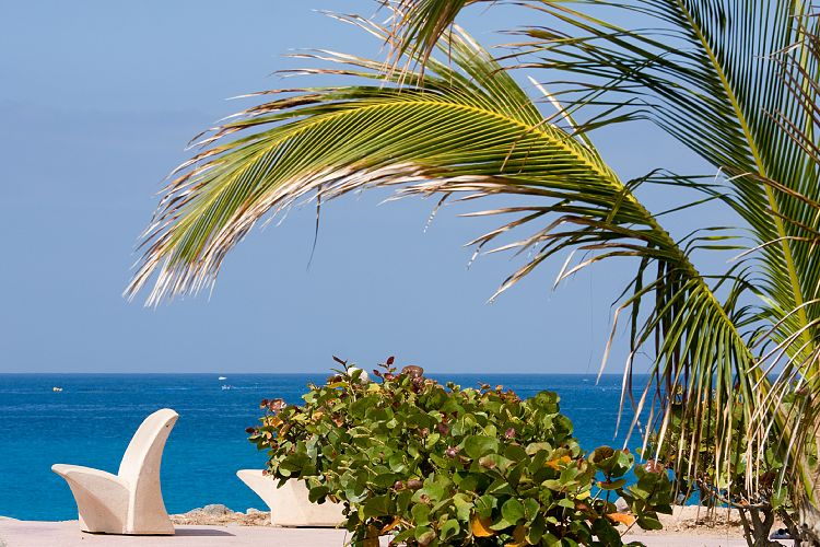 Costa Adeje (Teneriffa - Costa Adeje)