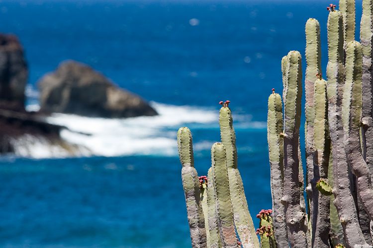 Faro de Teno (Teneriffa - Faro de Teno)