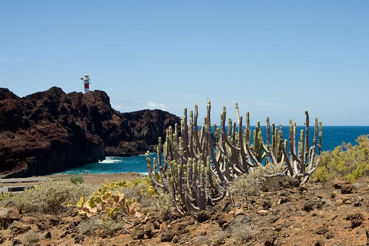 Faro de Teno (Teneriffa - Faro de Teno)