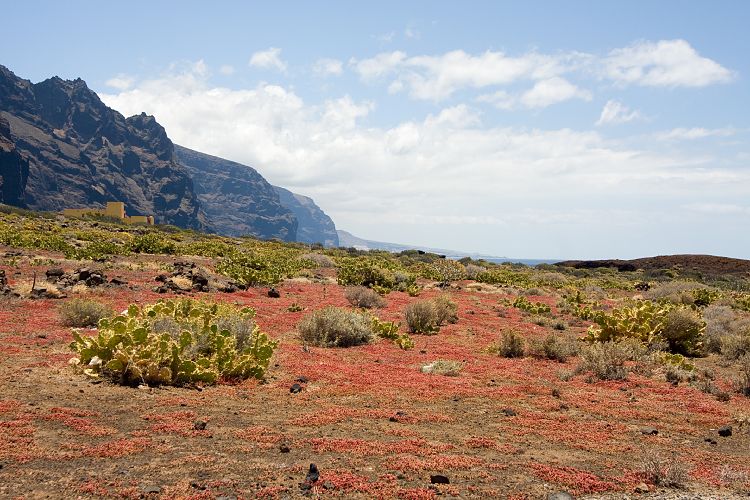 Faro de Teno (Teneriffa - Faro de Teno)