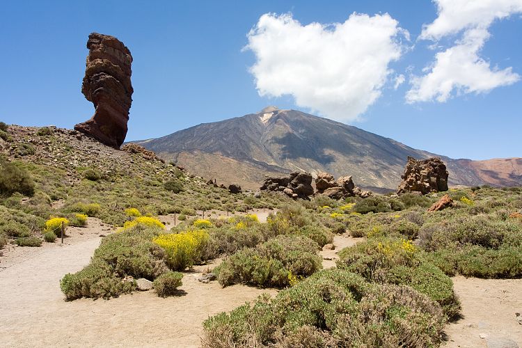 Los Roques de Garcia (Teneriffa - Los Roques de Garcia)
