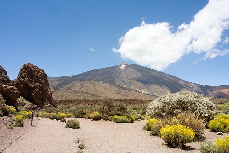 Los Roques de Garcia (Teneriffa - Los Roques de Garcia)