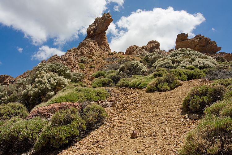 Los Roques de Garcia (Teneriffa - Los Roques de Garcia)