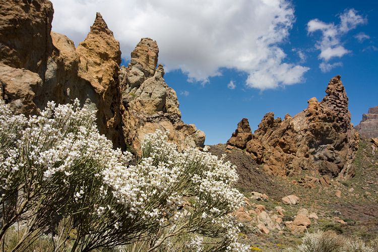 Los Roques de Garcia (Teneriffa - Los Roques de Garcia)