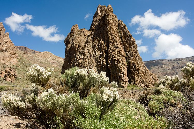 Los Roques de Garcia (Teneriffa - Los Roques de Garcia)