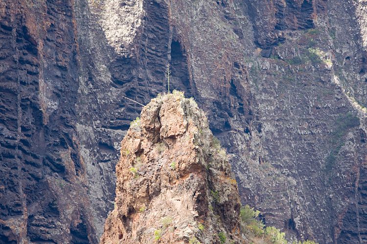 Masca (Teneriffa - Faro de Teno)
