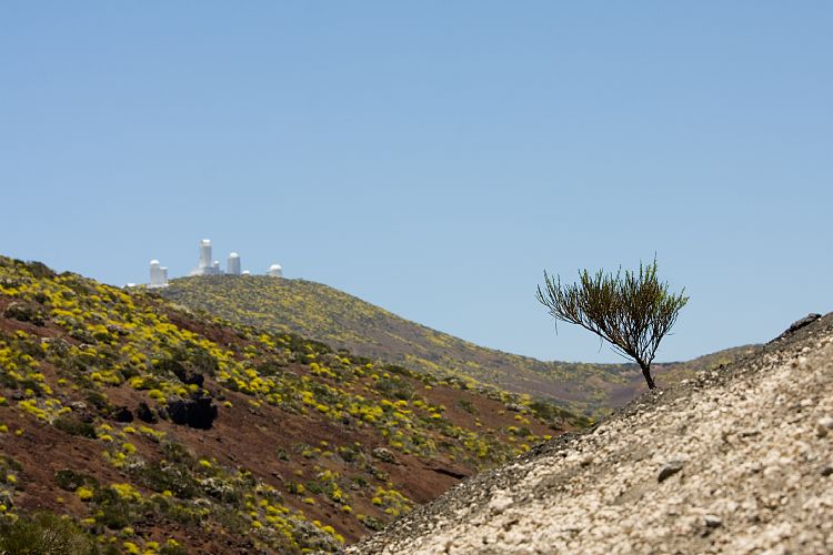 Mirador La Tarta (Teneriffa - Canadas del Teide)