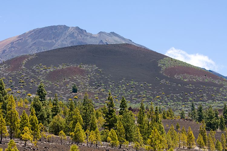 Mirador Samara (Teneriffa - Los Roques de Garcia)