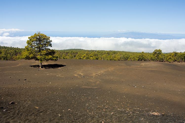 Mirador Samara (Teneriffa - Canadas del Teide)