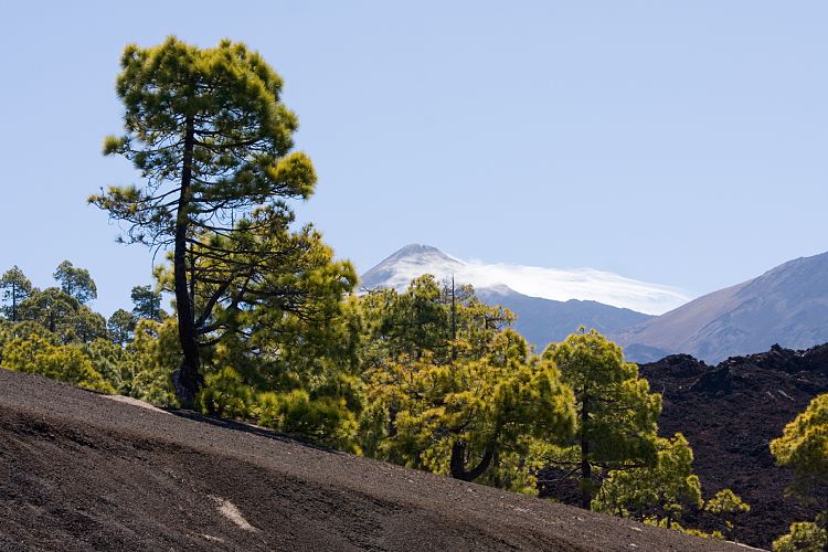 Mirador Samara (Teneriffa - Canadas del Teide)
