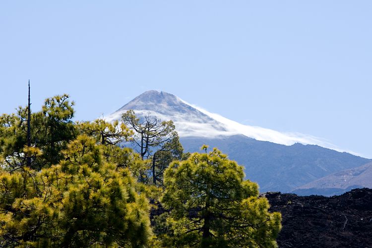 Mirador Samara (Teneriffa - Canadas del Teide)