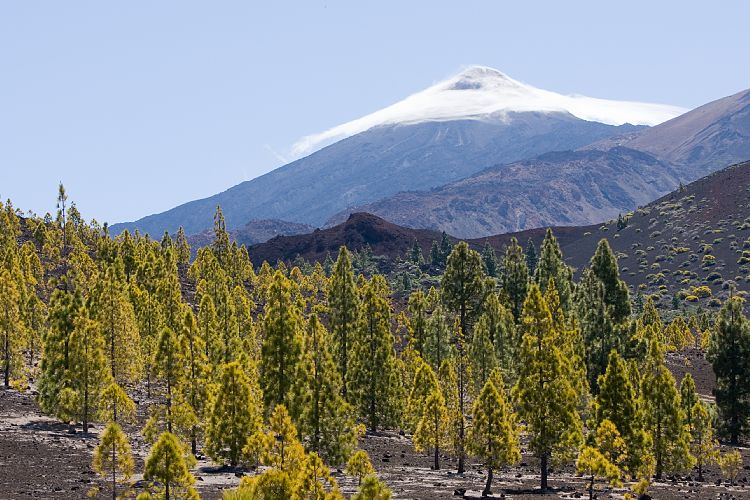 Mirador Samara (Teneriffa - Canadas del Teide)