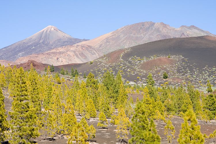 Mirador Samara (Teneriffa - Fortaleza)