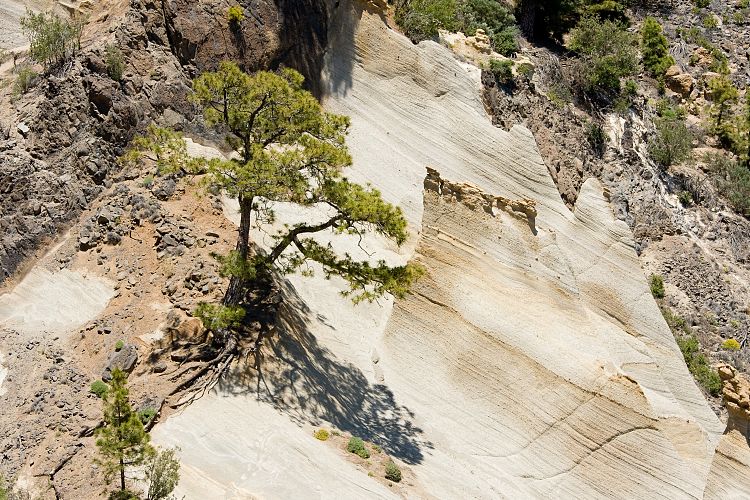 Paisaje Lunar (Teneriffa - Mondlandschaft)