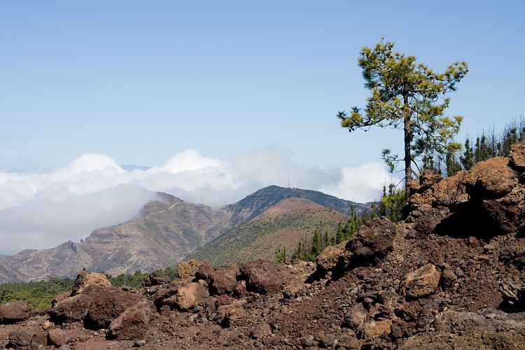 Pinar de Chio (Teneriffa - Fortaleza)