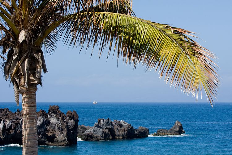 Puerto de Santiago (Teneriffa - Los Roques de Garcia)