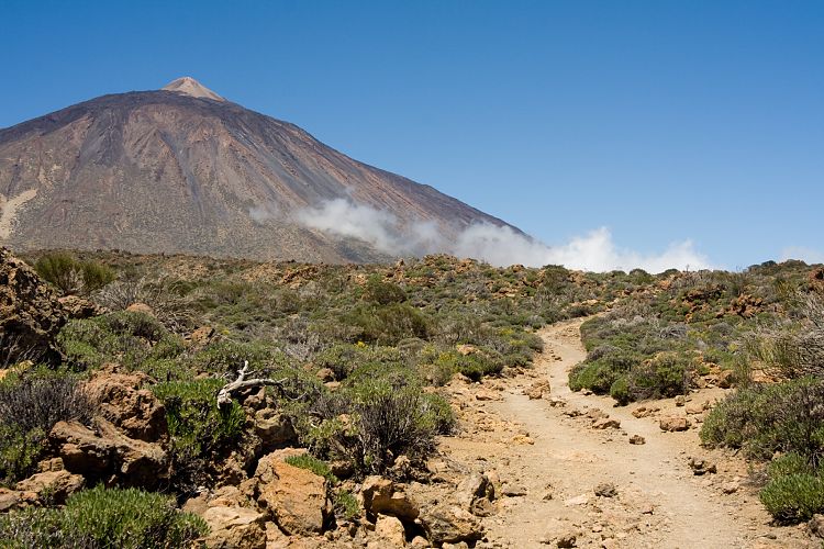 Wanderung zur Fortaleza (Teneriffa - Fortaleza)