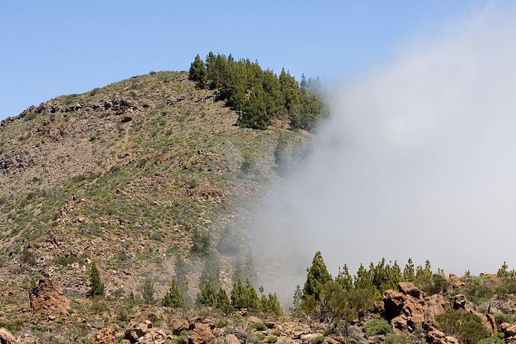 Wanderung zur Fortaleza (Teneriffa - Fortaleza)