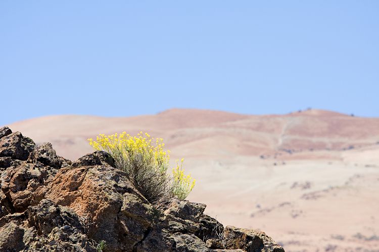 Wanderung zur Fortaleza (Teneriffa - Fortaleza)