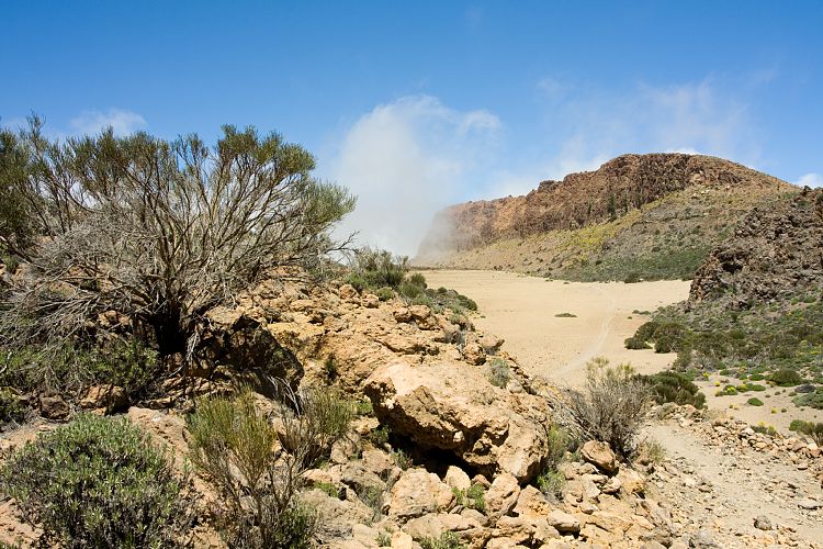 Wanderung zur Fortaleza (Teneriffa - Fortaleza)