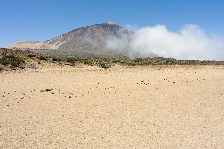 Wanderung zur Fortaleza (Teneriffa - Fortaleza)