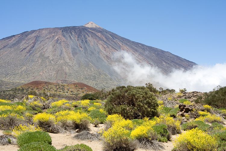 Wanderung zur Fortaleza (Teneriffa - Fortaleza)