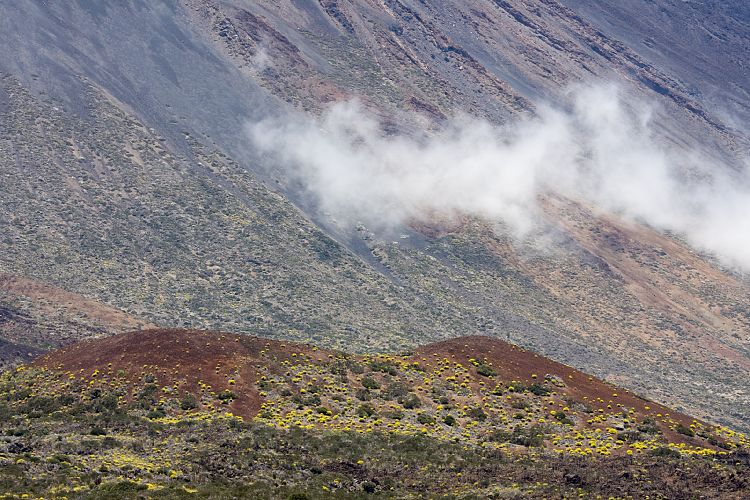 Wanderung zur Fortaleza (Teneriffa - Fortaleza)
