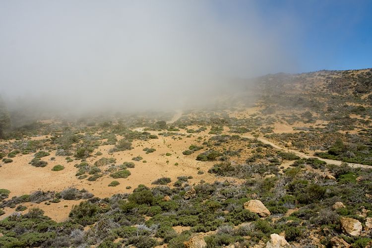 Wanderung zur Fortaleza (Teneriffa - Fortaleza)