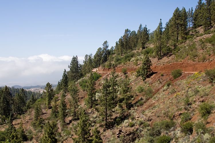 Wanderung zur Mondlandschaft (Teneriffa - Mondlandschaft)