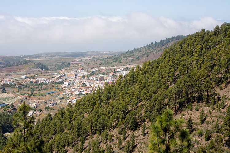 Wanderung zur Mondlandschaft (Teneriffa - Mondlandschaft)