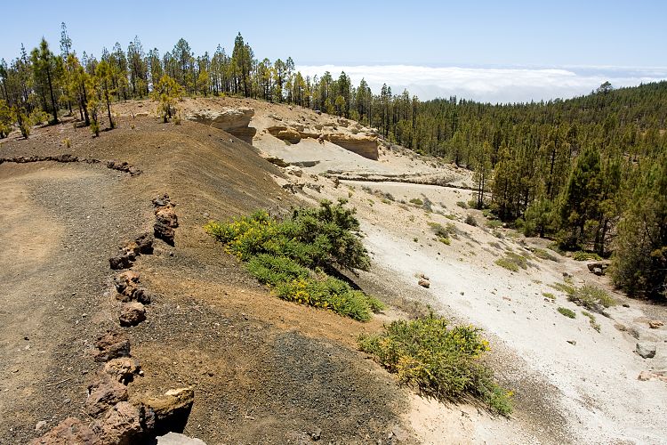 Wanderung zur Mondlandschaft (Teneriffa - Mondlandschaft)