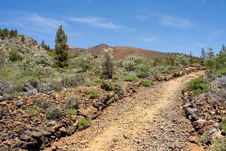 Wanderung zur Mondlandschaft (Teneriffa - Mondlandschaft)