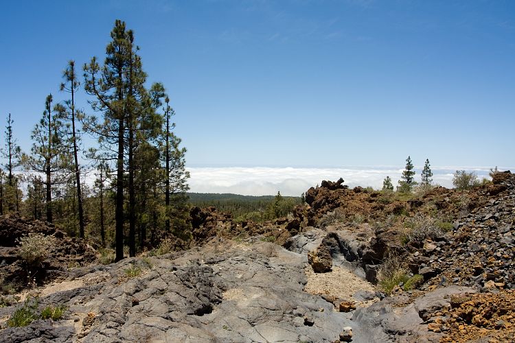 Wanderung zur Mondlandschaft (Teneriffa - Mondlandschaft)