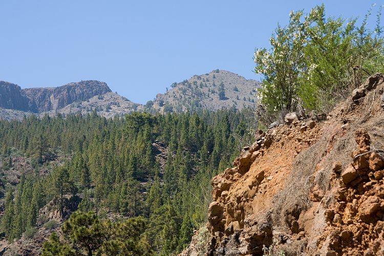 Wanderung zur Mondlandschaft (Teneriffa - Mondlandschaft)