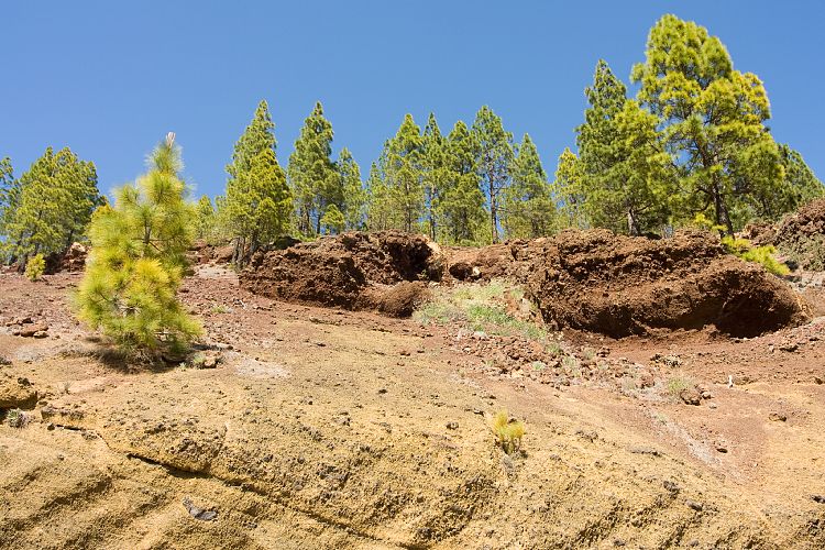 Wanderung zur Mondlandschaft (Teneriffa - Mondlandschaft)