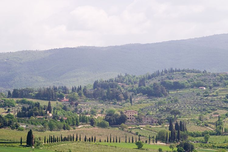Arezzo (Toskana - Arezzo & Chianti)