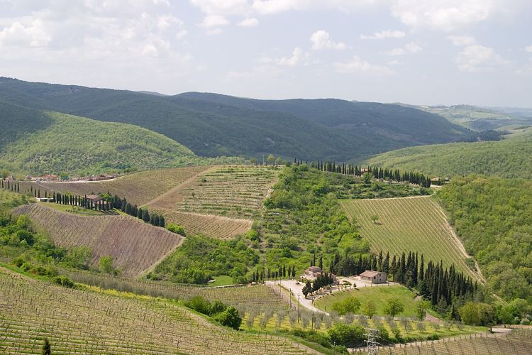 Radda in Chianti (Toskana - Arezzo & Chianti)