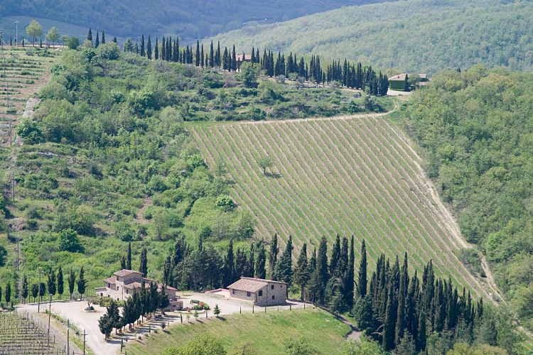 Radda in Chianti (Toskana - Arezzo & Chianti)