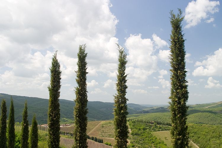 Radda in Chianti (Toskana - Arezzo & Chianti)