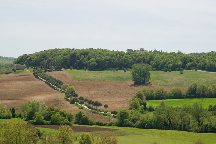 San Gimignano (Toskana - Siena & Volterra)
