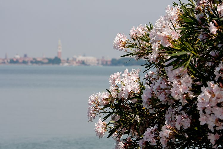 Lido (Norditalien - Venedig & Bergamo)