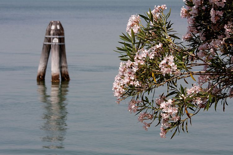 Lido (Norditalien - Venedig & Bergamo)